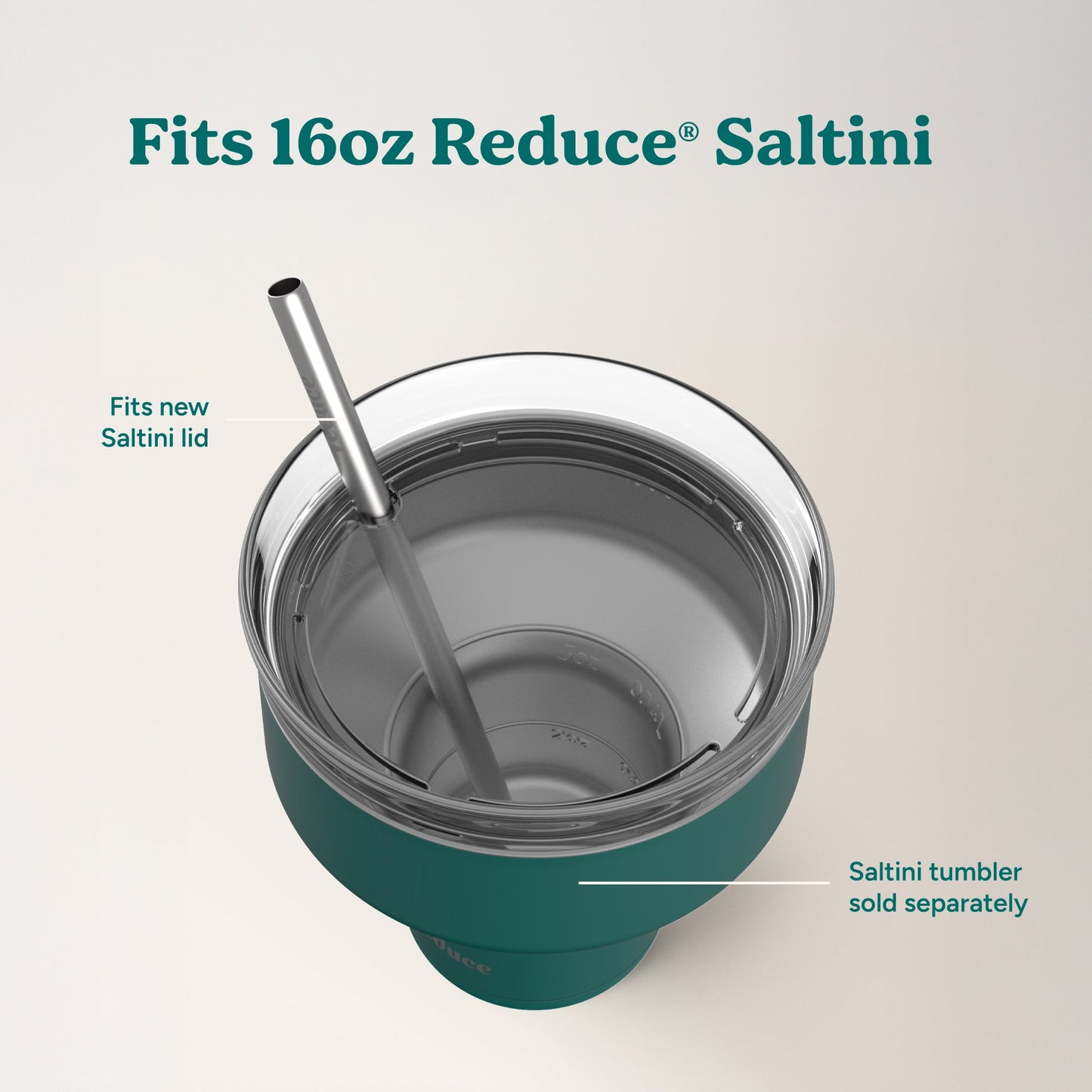 saltini-straw-set-d4 4PK_SaltiniStraws_SS-4.jpg