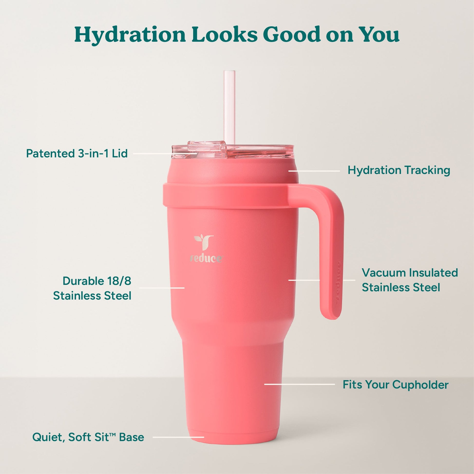 cold1-40-oz-d1 Cold1_40oz_Daiquiri_Infographic_2.jpg