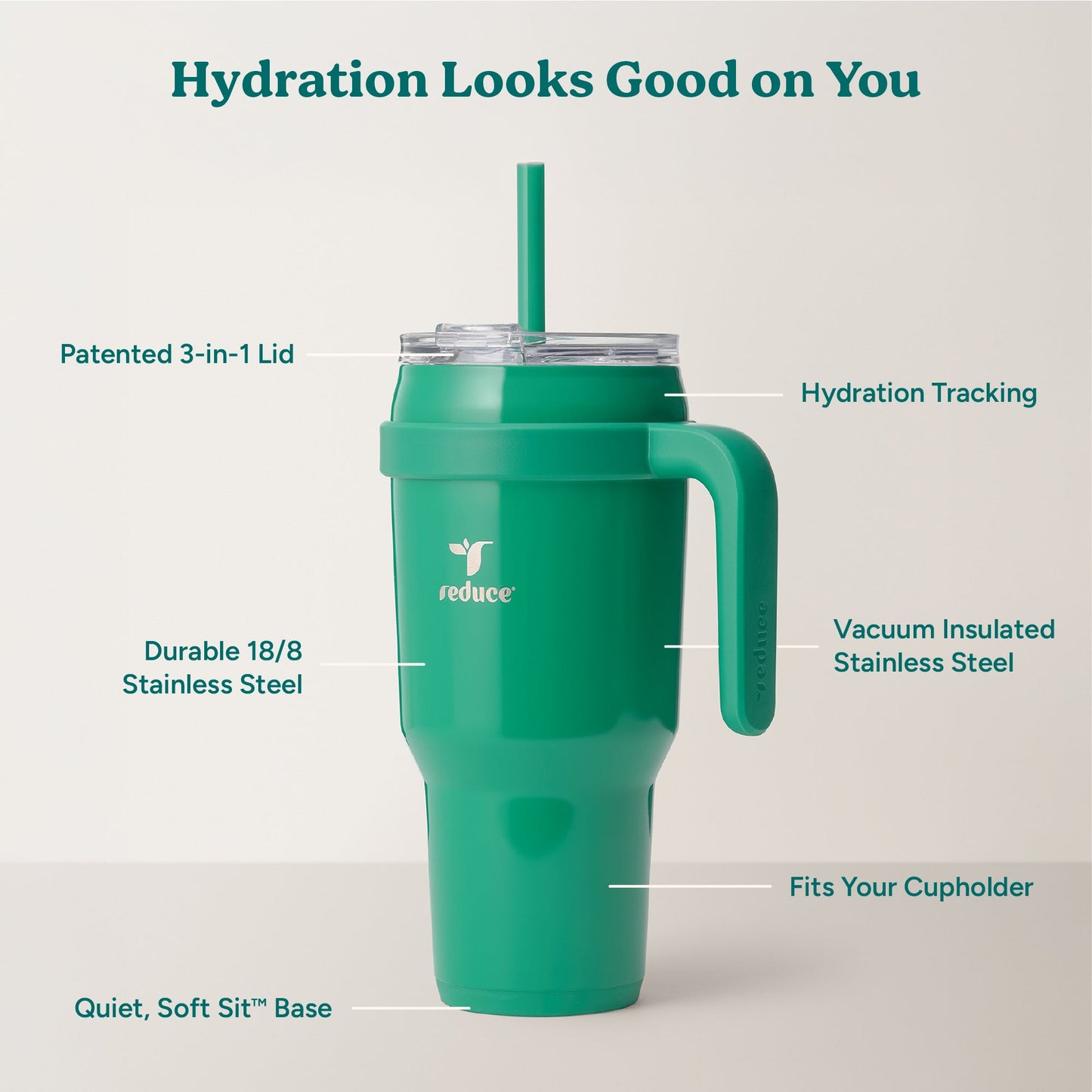 cold1-40-oz-d1 Cold1_40oz_PalmLeaf_Infographic_2.jpg
