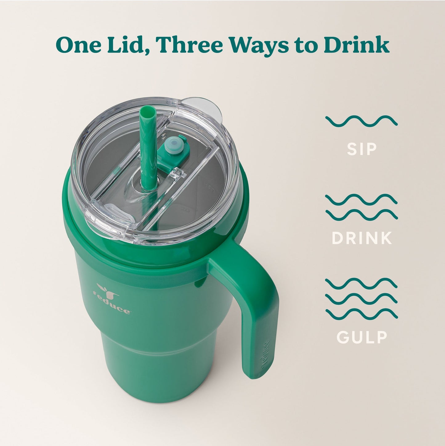 cold1-40-oz-d1 Cold1_40oz_PalmLeaf_Infographic_3.jpg