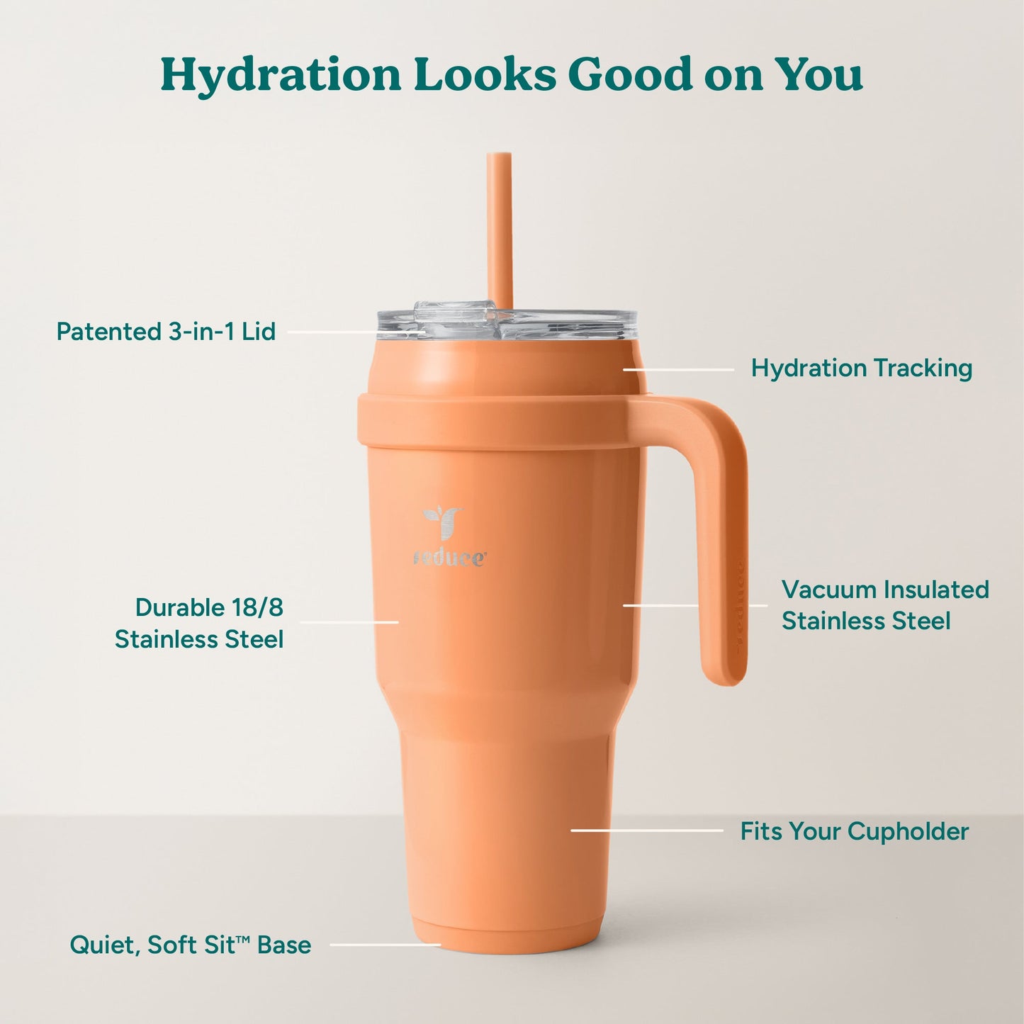 cold1-40-oz-d1 Cold1_40oz_Papaya_Infographic_2.jpg