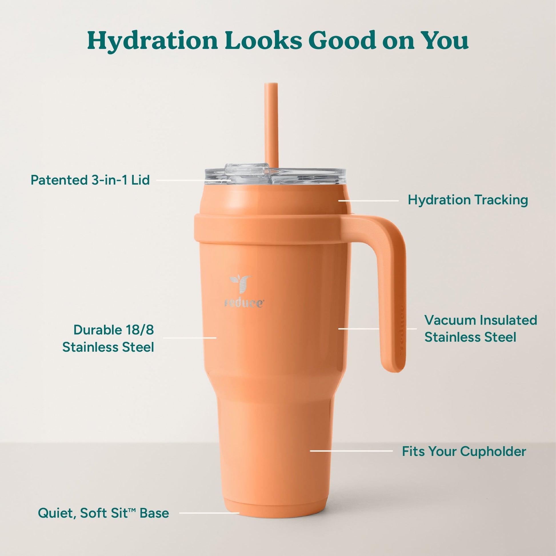 cold1-40-oz-d1 Cold1_40oz_Papaya_Infographic_2.jpg